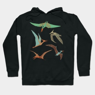 Pterodactyls Hoodie